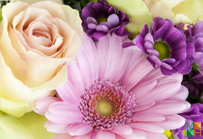 Tranh dán tường phòng ngủ Hàn Quốc đẹp FW - 045